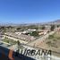 코 퀴보PropertyTypeNameBedroom, Coquimbo, 엘키, 코 퀴보