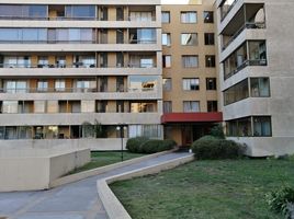 2 Habitación Departamento en alquiler en San Jode de Maipo, Cordillera, San Jode de Maipo