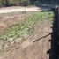  Terreno (Parcela) en venta en Chile, Viña del Mar, Valparaíso, Valparaíso, Chile