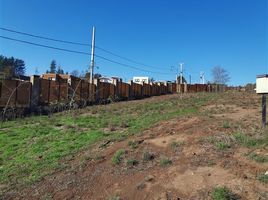  Terreno (Parcela) en venta en Chile, Viña del Mar, Valparaíso, Valparaíso, Chile