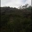  Land for sale in Montemorelos, Nuevo Leon, Montemorelos