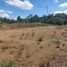  Land for sale in Popayan, Cauca, Popayan