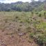  Land for sale in Popayan, Cauca, Popayan