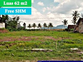  Land for sale in Banyuwangi, East Jawa, Gambiran, Banyuwangi