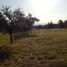  Land for sale in Junin, San Luis, Junin