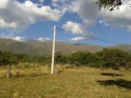  Land for sale in Junin, San Luis, Junin