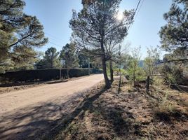  Terreno (Parcela) en venta en Punilla, Cordobá, Punilla