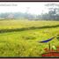  Land for sale in Tampak Siring, Gianyar, Tampak Siring