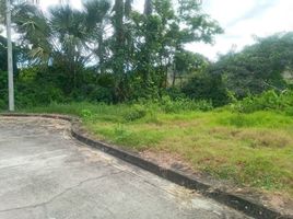  Terreno (Parcela) en venta en Cebu City, Central Visayas, Cebu City, Cebu, Central Visayas, Filipinas
