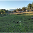  Terreno (Parcela) en venta en Omitlan De Juarez, Hidalgo, Omitlan De Juarez