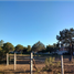  Terreno (Parcela) en venta en Omitlan De Juarez, Hidalgo, Omitlan De Juarez