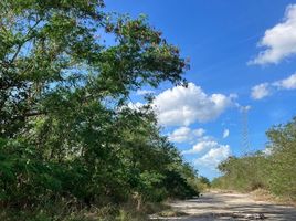  Grundstück zu verkaufen in Conkal, Yucatan, Conkal