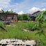 3 Bedroom House for sale in Polanharjo, Klaten, Polanharjo