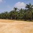  Land for sale in Api-Api, Kuala Selangor, Api-Api