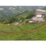  Land for sale in Manizales, Caldas, Manizales