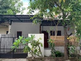 2 Kamar Rumah for rent in Indonesia, Rungkut, Surabaya, East Jawa, Indonesia