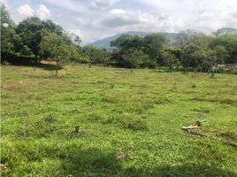  Land for sale in Ituango, Antioquia, Ituango