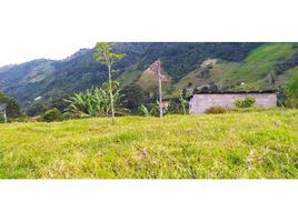  Land for sale in Fredonia, Antioquia, Fredonia