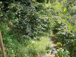  Land for sale in Girardota, Antioquia, Girardota