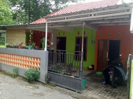 4 Bedroom Villa for sale in Kalasan, Sleman, Kalasan