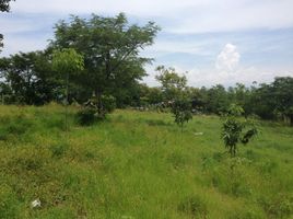  Grundstück zu verkaufen in Miacatlan, Morelos, Miacatlan