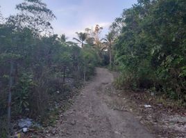  Land for sale in Tagbilaran City, Bohol, Tagbilaran City