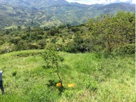  Terrain for sale in Barbosa, Antioquia, Barbosa