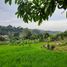  Land for sale in Cilengkrang, West Jawa, Cilengkrang, Bandung