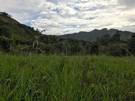  Grundstück zu verkaufen in Loja, Loja, Vilcabamba Victoria, Loja, Loja