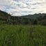  Grundstück zu verkaufen in Vilcabamba Victoria, Loja, Vilcabamba Victoria, Loja