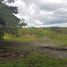  Land for sale in Popayan, Cauca, Popayan