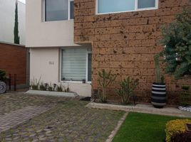 Maison 3 chambre à louer à Toluca, Mexico, Toluca