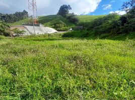  Terreno (Parcela) en venta en Manizales, Caldas, Manizales