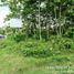 1 Bedroom Villa for sale in Blimbing, East Jawa, Blimbing, Malang Regency