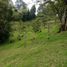  Land for sale in Guarne, Antioquia, Guarne