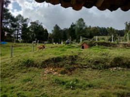  Land for sale in Guarne, Antioquia, Guarne
