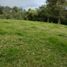 Land for sale in Guarne, Antioquia, Guarne