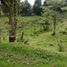  Land for sale in Guarne, Antioquia, Guarne