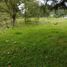  Land for sale in Guarne, Antioquia, Guarne