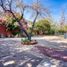 6 Bedroom House for rent in Santiago, San Jode De Maipo, Cordillera, Santiago