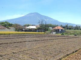  Terreno (Parcela) en venta en Lowok Waru, East Jawa, Lowok Waru
