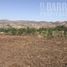  Land for sale in Chile, Santiago, Santiago, Santiago, Chile