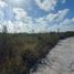  Land for sale in Ixil, Yucatan, Ixil