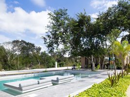  Grundstück zu verkaufen in Merida, Yucatan, Merida