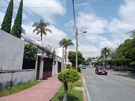 272 m² Office for rent in Cuauhnáhuac Regional Museum, Cuernavaca, Cuernavaca