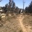  Land for sale in Chile, Valparaiso, Valparaiso, Valparaiso, Chile