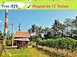  Land for sale in Malang Regency, East Jawa, Kepanjen, Malang Regency