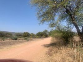  Grundstück zu verkaufen in Tequisquiapan, Queretaro, Tequisquiapan