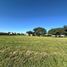  Land for sale in Capital, Salta, Capital, Salta