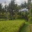  Land for sale in Ubud, Gianyar, Ubud